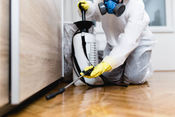 Best Pest Removal Services  in Beattyville, KY
