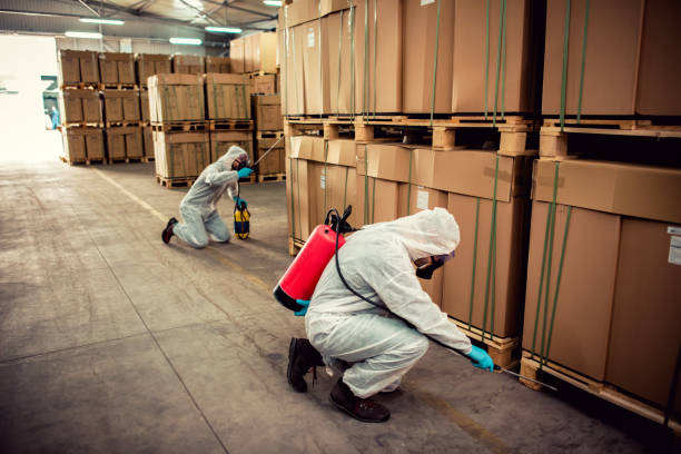 Best Local Pest Control Services  in Beattyville, KY