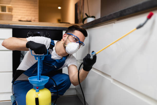 Best Residential Pest Control  in Beattyville, KY