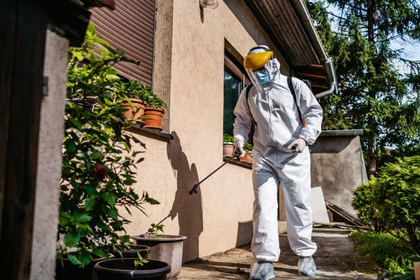 Best Cockroach Control Services  in Beattyville, KY