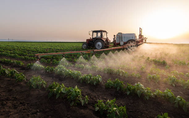 Best Mosquito Control Services  in Beattyville, KY