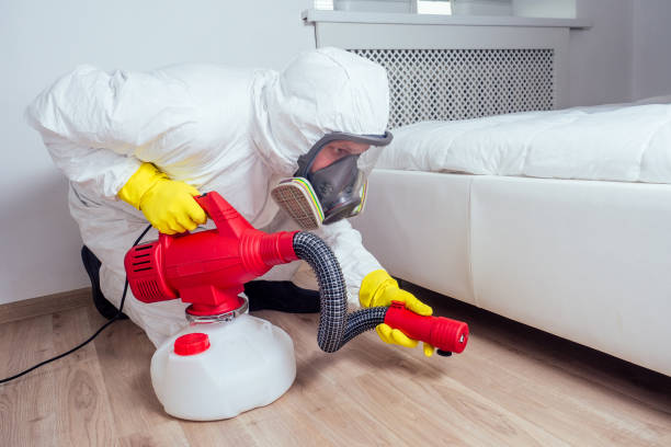 Best Local Pest Control Services  in Beattyville, KY
