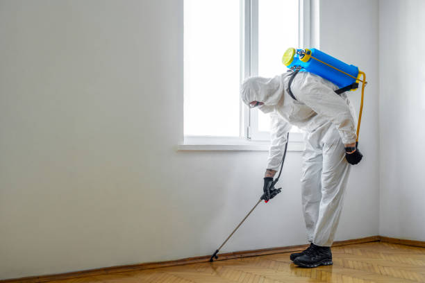 Best Bed Bug Extermination  in Beattyville, KY