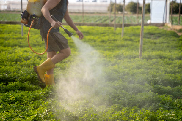 Best Affordable Pest Control Services  in Beattyville, KY