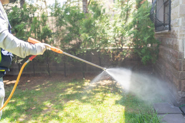 Best Mosquito Control Services  in Beattyville, KY