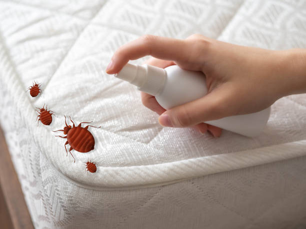 Best Cockroach Control Services  in Beattyville, KY