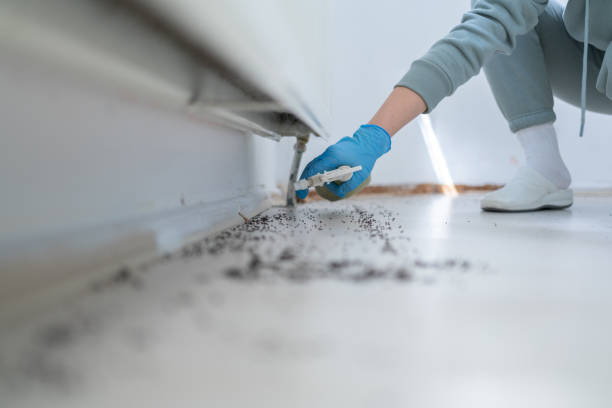 Best Commercial Pest Control Services  in Beattyville, KY