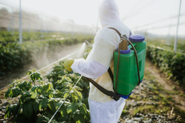 Best Pest Control Treatment  in Beattyville, KY